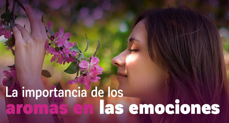 importancia-de-los-aromas-en-las-emociones